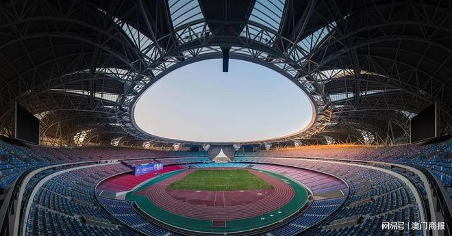 冲刺巴黎奥运，中国健儿奋勇争先的2023